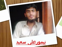 Temur Ali Saeed